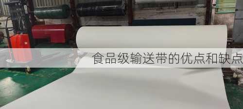 食品级输送带的优点和缺点