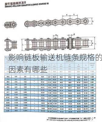 影响链板输送机链条规格的因素有哪些