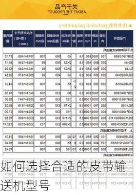 如何选择合适的皮带输送机型号