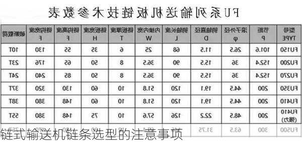 链式输送机链条选型的注意事项