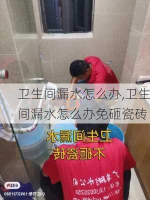 卫生间漏水怎么办,卫生间漏水怎么办免砸瓷砖