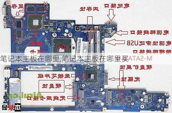 笔记本主板在哪里,笔记本主板在哪里买