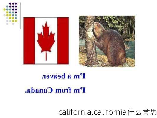 california,california什么意思