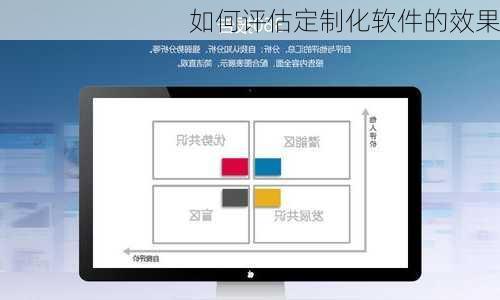 如何评估定制化软件的效果