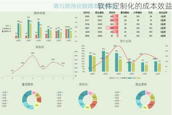 软件定制化的成本效益