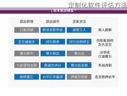 定制化软件评估方法