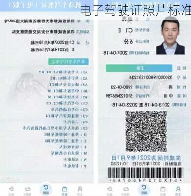 电子驾驶证照片标准