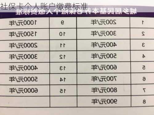 社保卡个人账户缴费标准