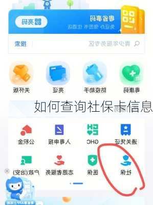 如何查询社保卡信息