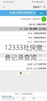 12333社保缴费记录查询