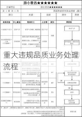 重大违规品质业务处理流程