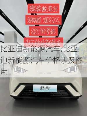 比亚迪新能源汽车,比亚迪新能源汽车价格表及图片