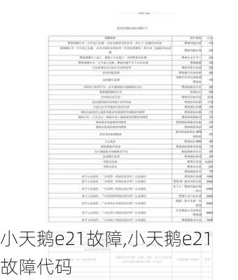 小天鹅e21故障,小天鹅e21故障代码