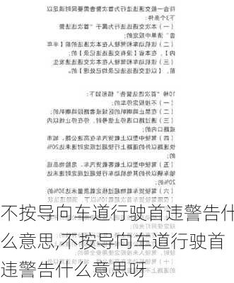 不按导向车道行驶首违警告什么意思,不按导向车道行驶首违警告什么意思呀