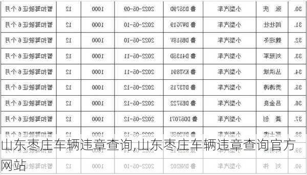 山东枣庄车辆违章查询,山东枣庄车辆违章查询官方网站