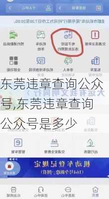 东莞违章查询公众号,东莞违章查询公众号是多少