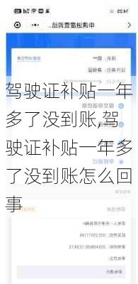 驾驶证补贴一年多了没到账,驾驶证补贴一年多了没到账怎么回事