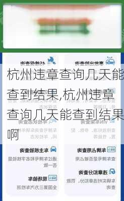 杭州违章查询几天能查到结果,杭州违章查询几天能查到结果啊