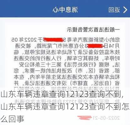 山东车辆违章查询12123查询不到,山东车辆违章查询12123查询不到怎么回事