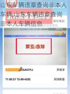 山东车辆违章查询非本人车辆,山东车辆违章查询非本人车辆信息