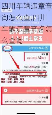 四川车辆违章查询怎么查,四川车辆违章查询怎么查询