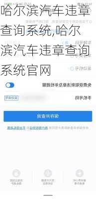 哈尔滨汽车违章查询系统,哈尔滨汽车违章查询系统官网