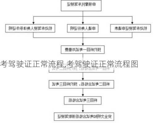 考驾驶证正常流程,考驾驶证正常流程图