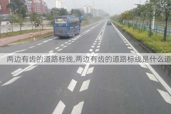 两边有齿的道路标线,两边有齿的道路标线是什么道