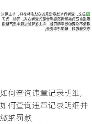 如何查询违章记录明细,如何查询违章记录明细并缴纳罚款