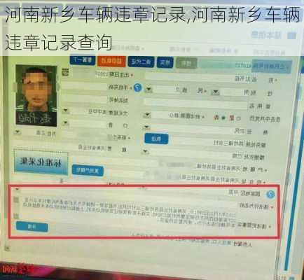 河南新乡车辆违章记录,河南新乡车辆违章记录查询