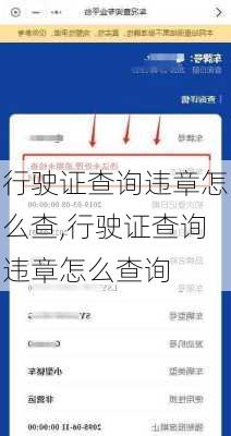 行驶证查询违章怎么查,行驶证查询违章怎么查询