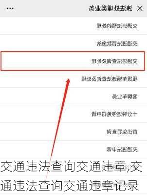 交通违法查询交通违章,交通违法查询交通违章记录