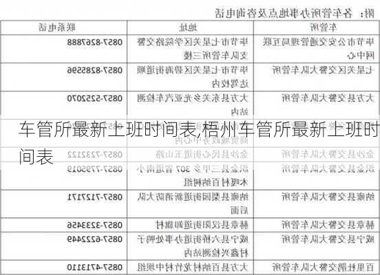 车管所最新上班时间表,梧州车管所最新上班时间表