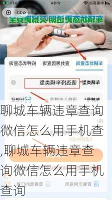 聊城车辆违章查询微信怎么用手机查,聊城车辆违章查询微信怎么用手机查询