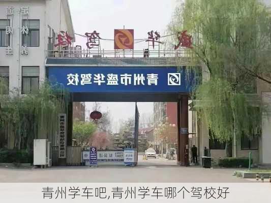 青州学车吧,青州学车哪个驾校好