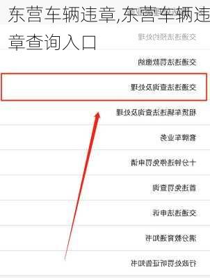东营车辆违章,东营车辆违章查询入口