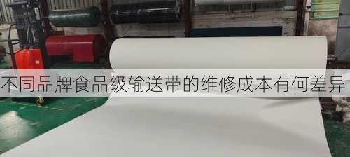 不同品牌食品级输送带的维修成本有何差异