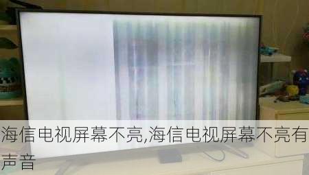 海信电视屏幕不亮,海信电视屏幕不亮有声音